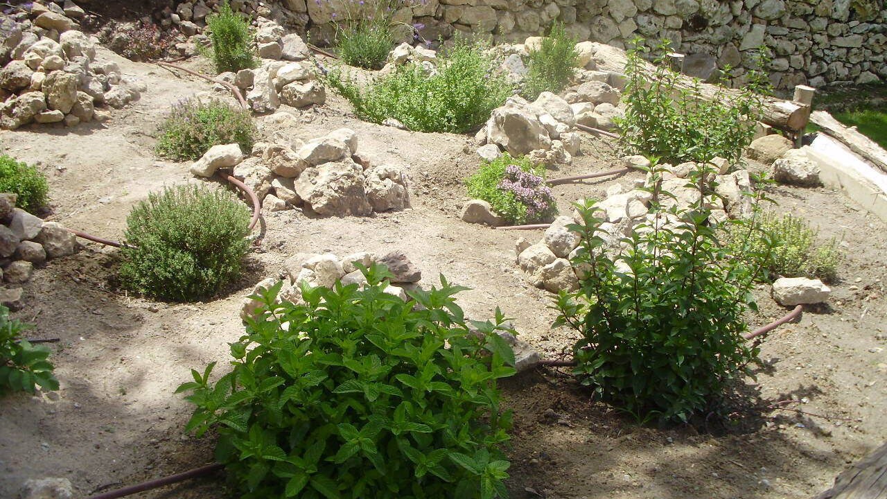 Photo of Outdoor in Pradena