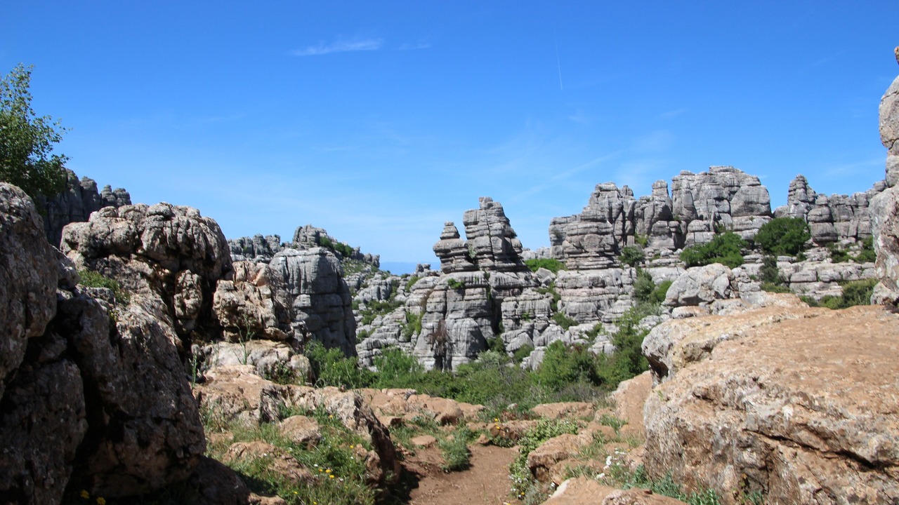 Photo of Others in Fuente-Tojar