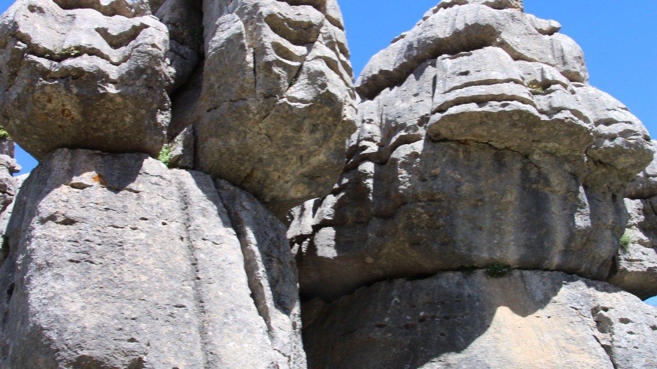 Photo of Others in Fuente-Tojar