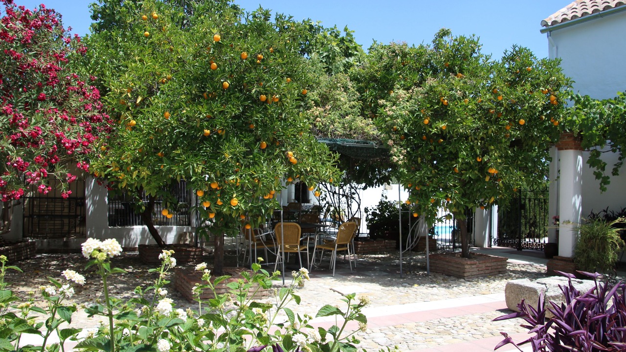 Photo of Patio Balcony in Fuente-Tojar