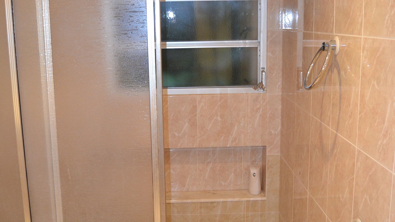 Photo of Bathroom in Calafat