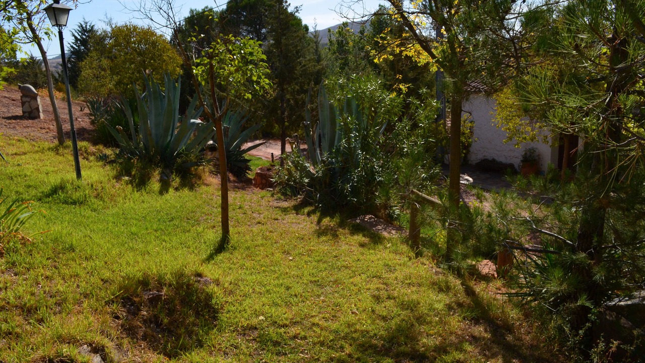 Photo of Outdoor in Alcaraz