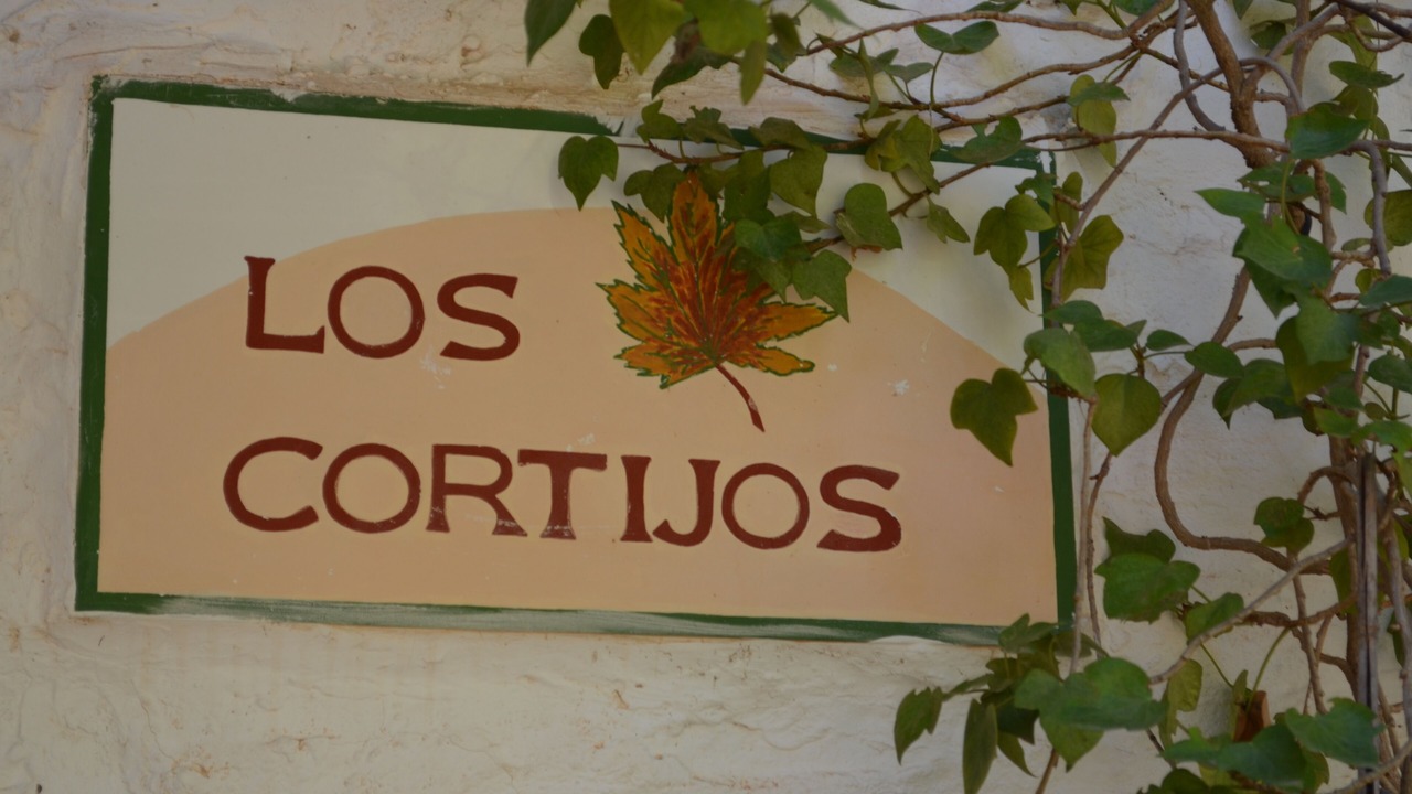 Photo of Outdoor in Alcaraz