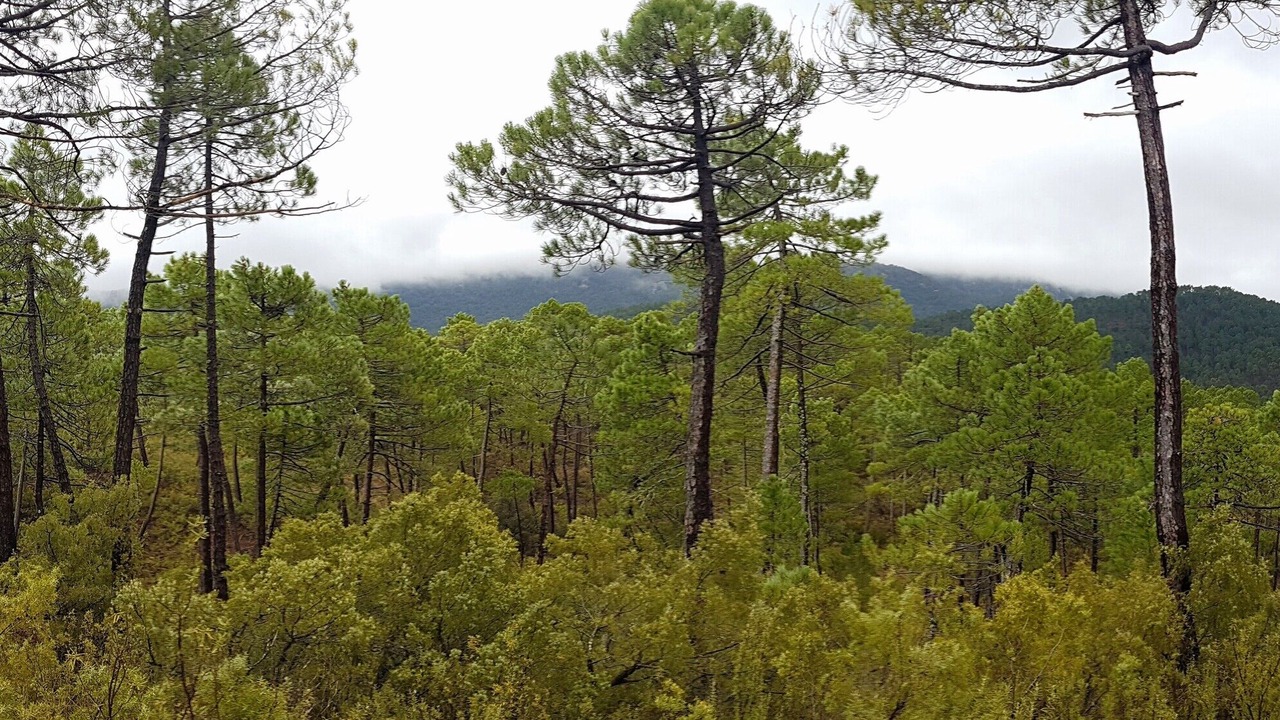 Photo of Outdoor in Riopar
