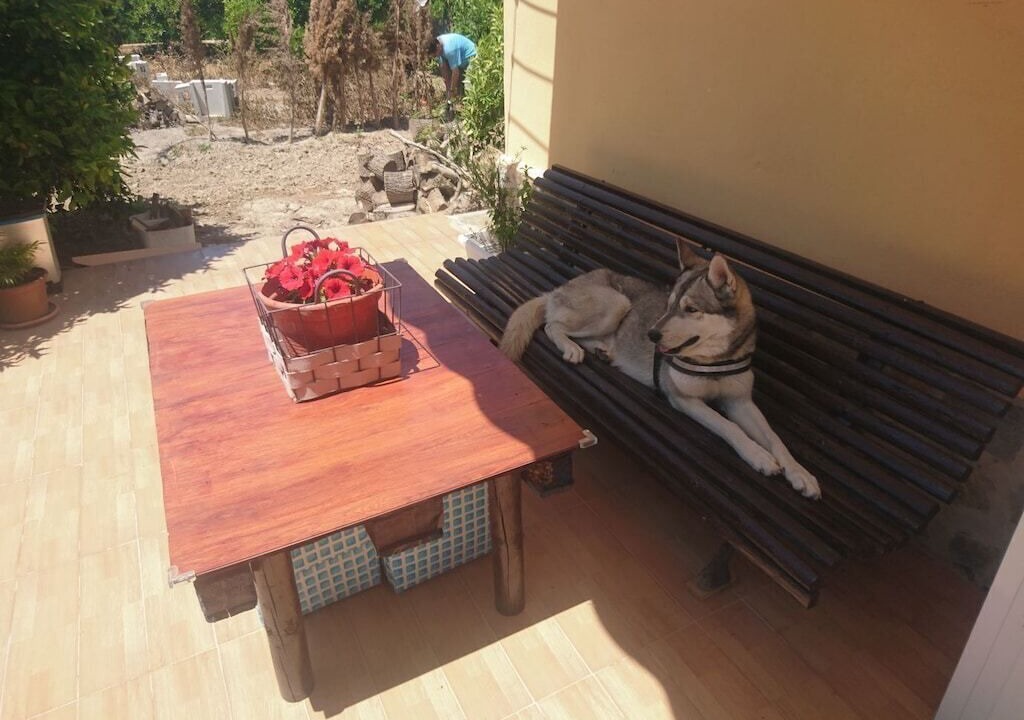 Photo of Outdoor in Formentera de Segura