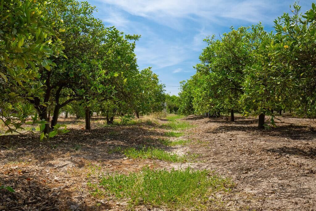 Photo of Outdoor in Formentera de Segura