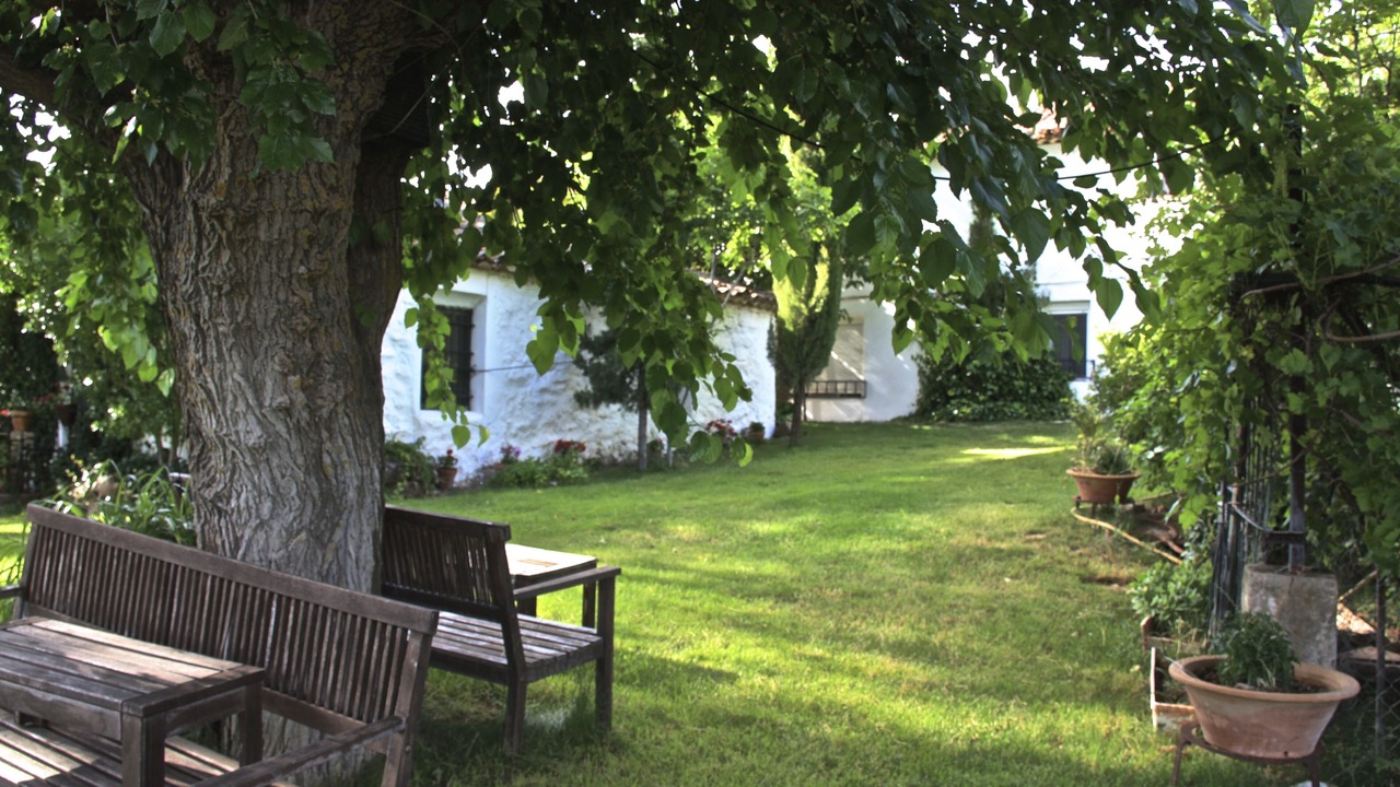 Photo of Outdoor in Alcaraz