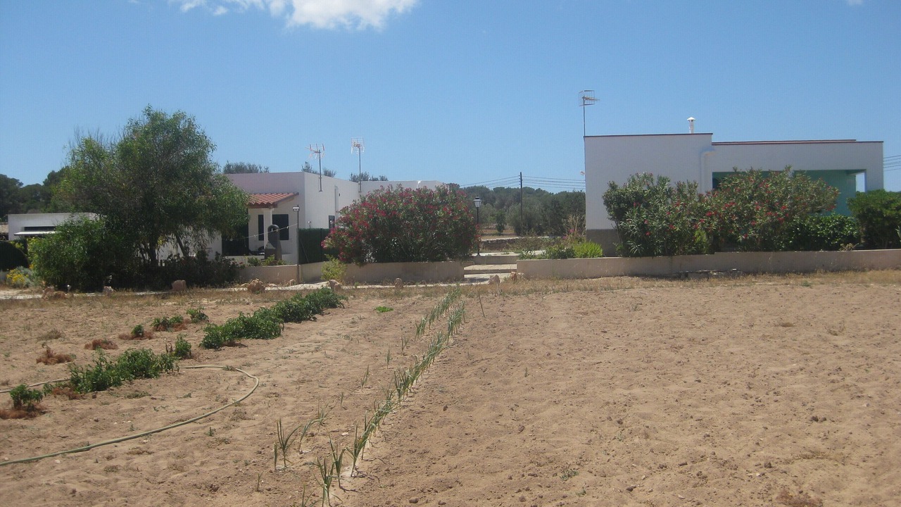 Photo of Others in Sant Francesc Xavier