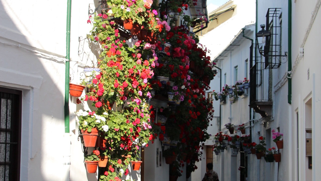 Photo of Outdoor in Fuente-Tojar