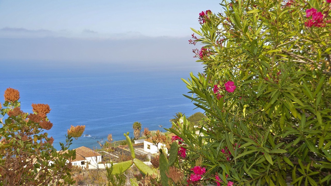 Photo of Others in Puerto Naos