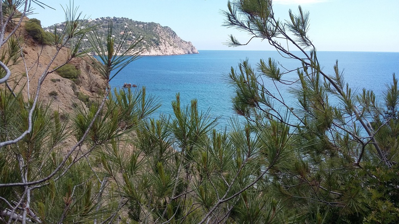 Photo of Others in Santa Eulalia del Rio