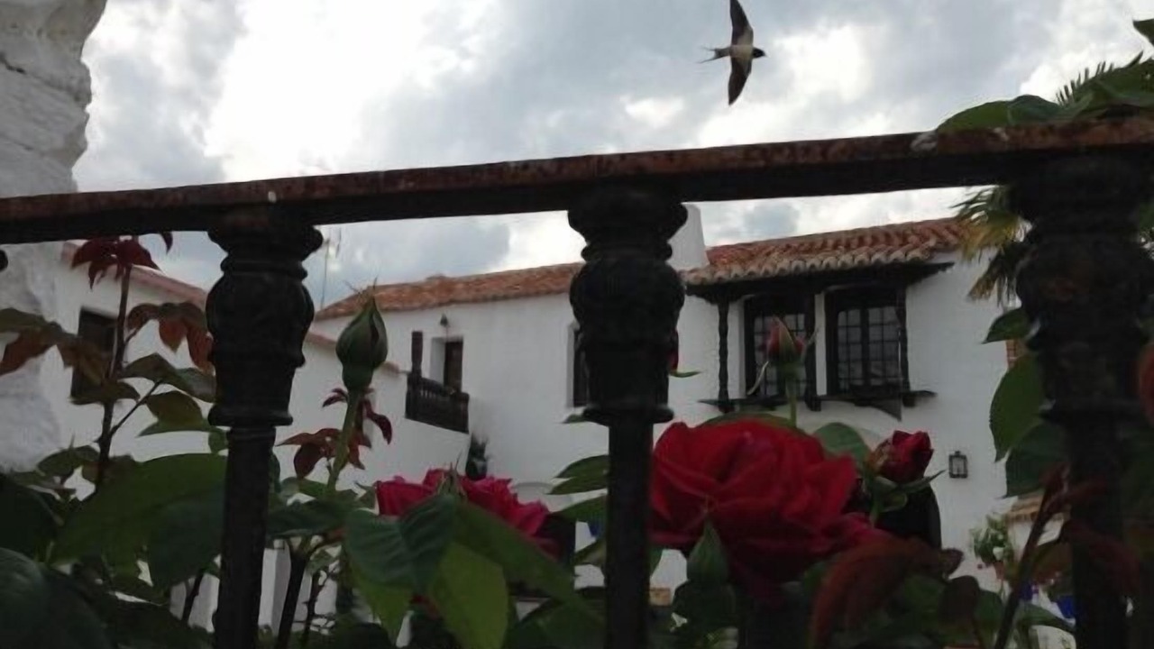 Photo of Outdoor in Brazatortas