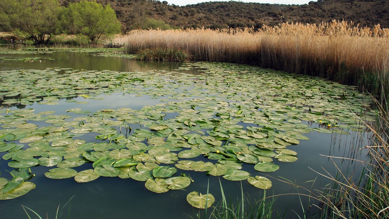 Photo of Outdoor in Alcaraz
