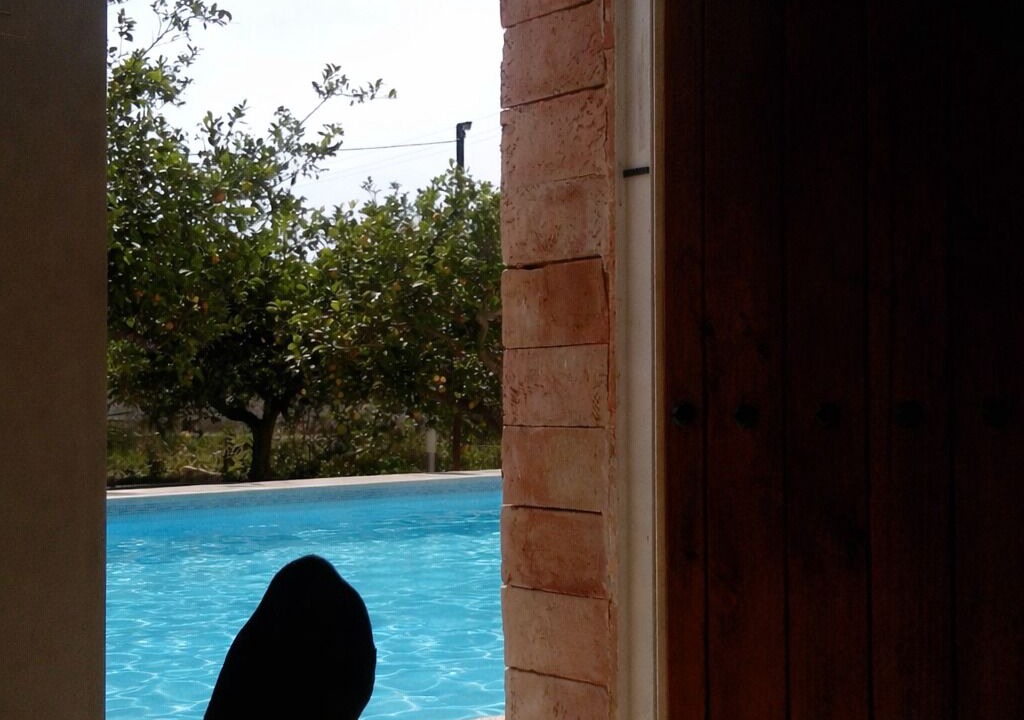 Photo of Outdoor in La Aljorra