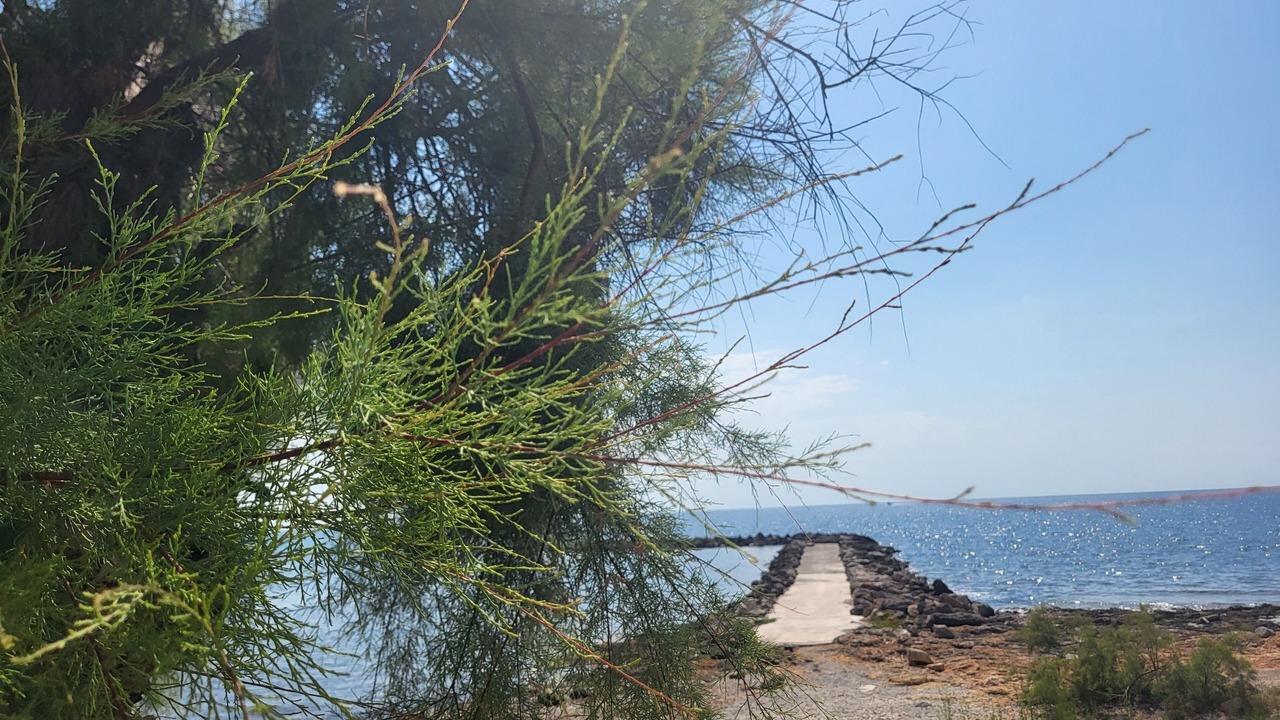 Photo of Others in Cala Bona