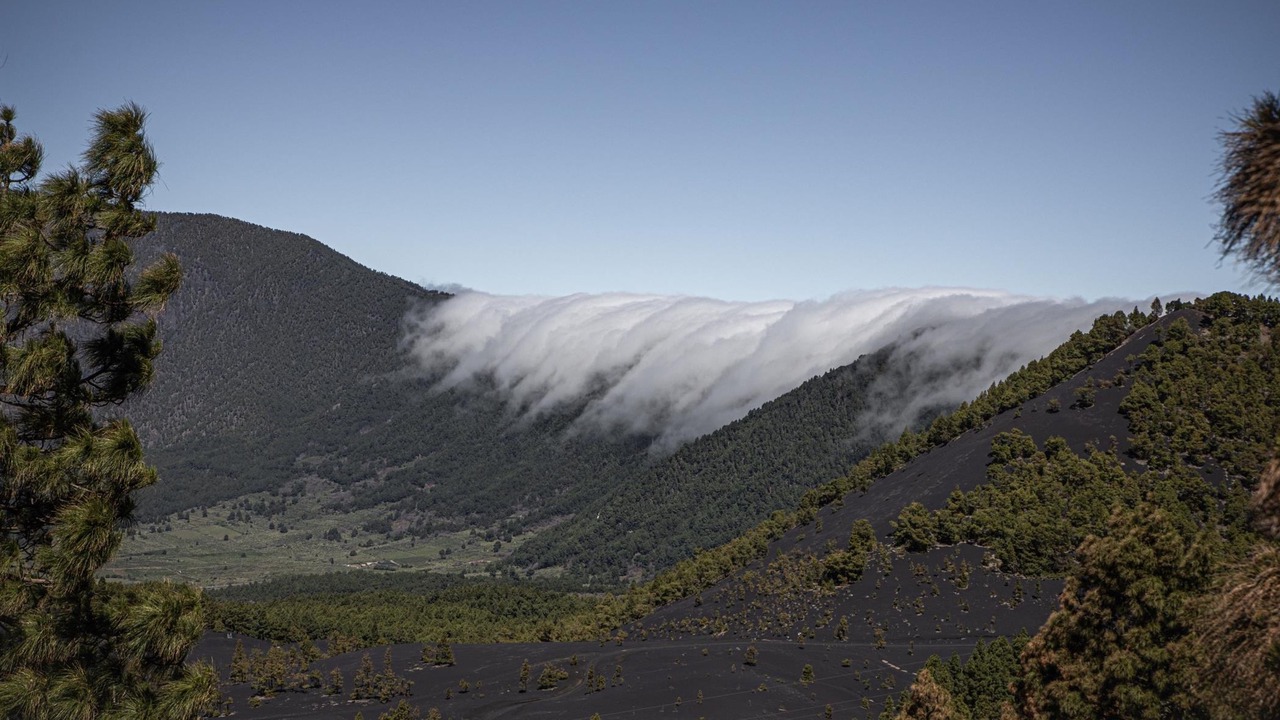 Photo of Others in Santa Cruz de la Palma