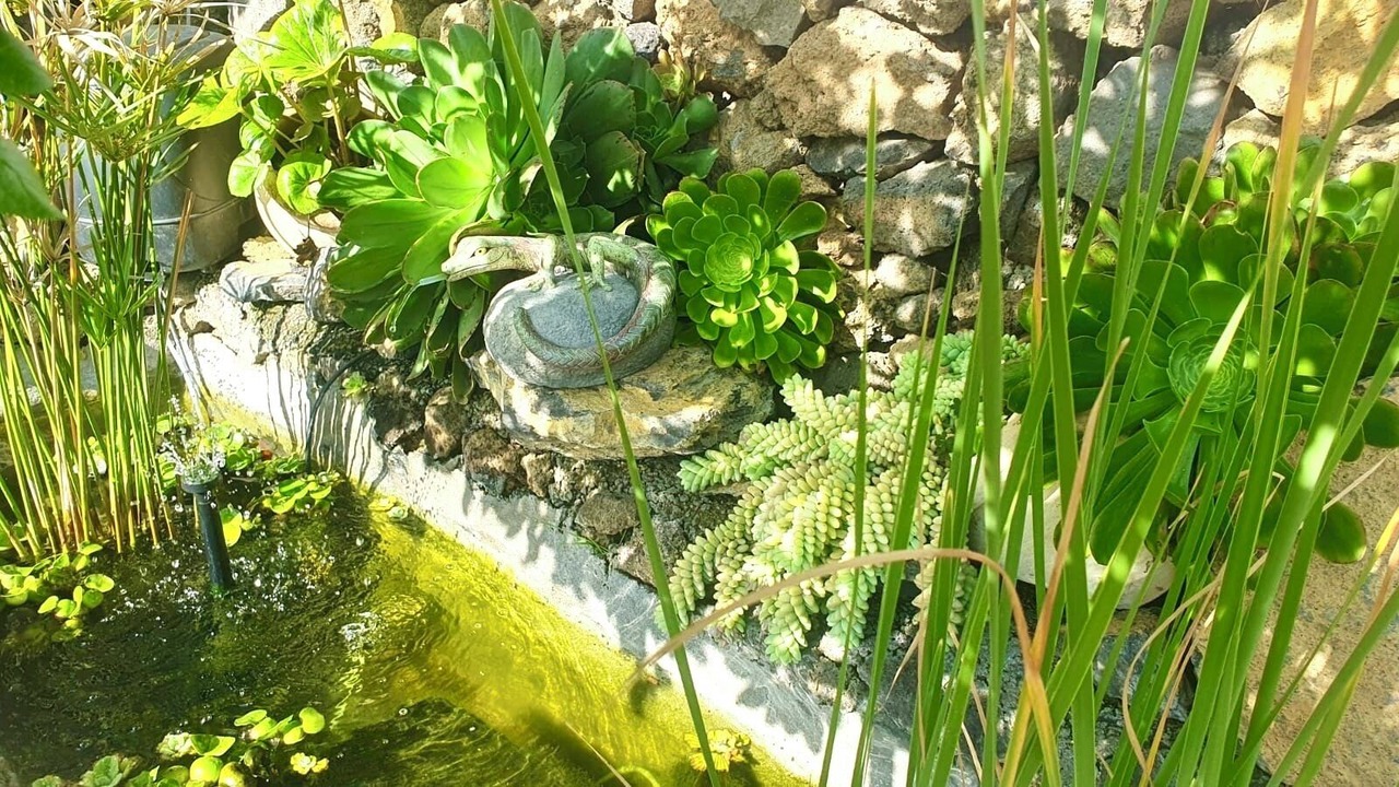 Photo of Outdoor in El Paso