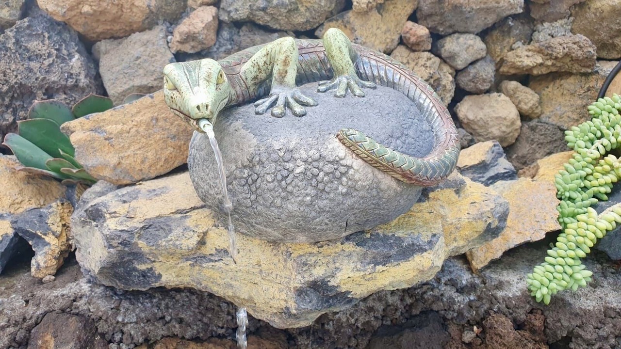 Photo of Outdoor in El Paso