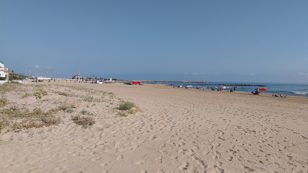 Photo of Others in Oliva