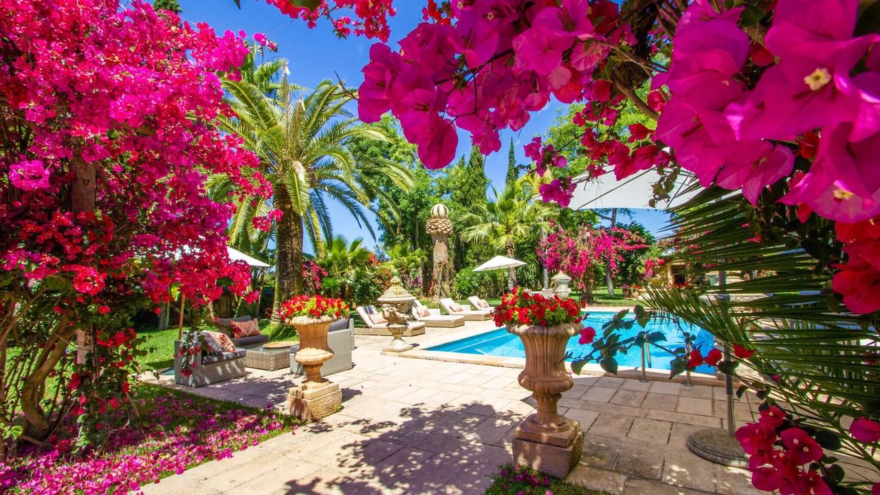 Photo of Outdoor in Binissalem