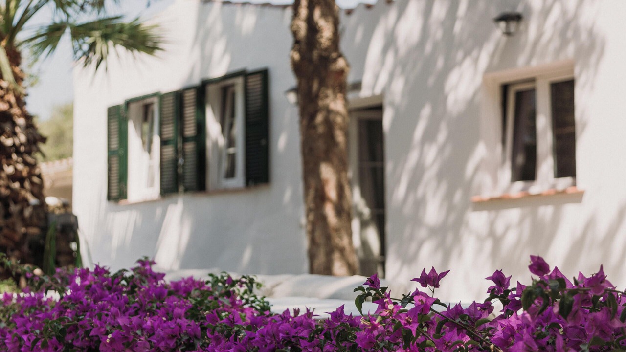 Photo of Outdoor in Mahon