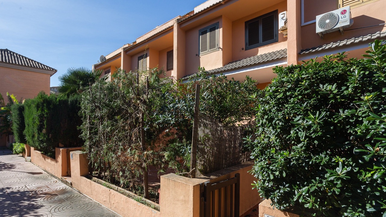Photo of Outdoor in Sueca