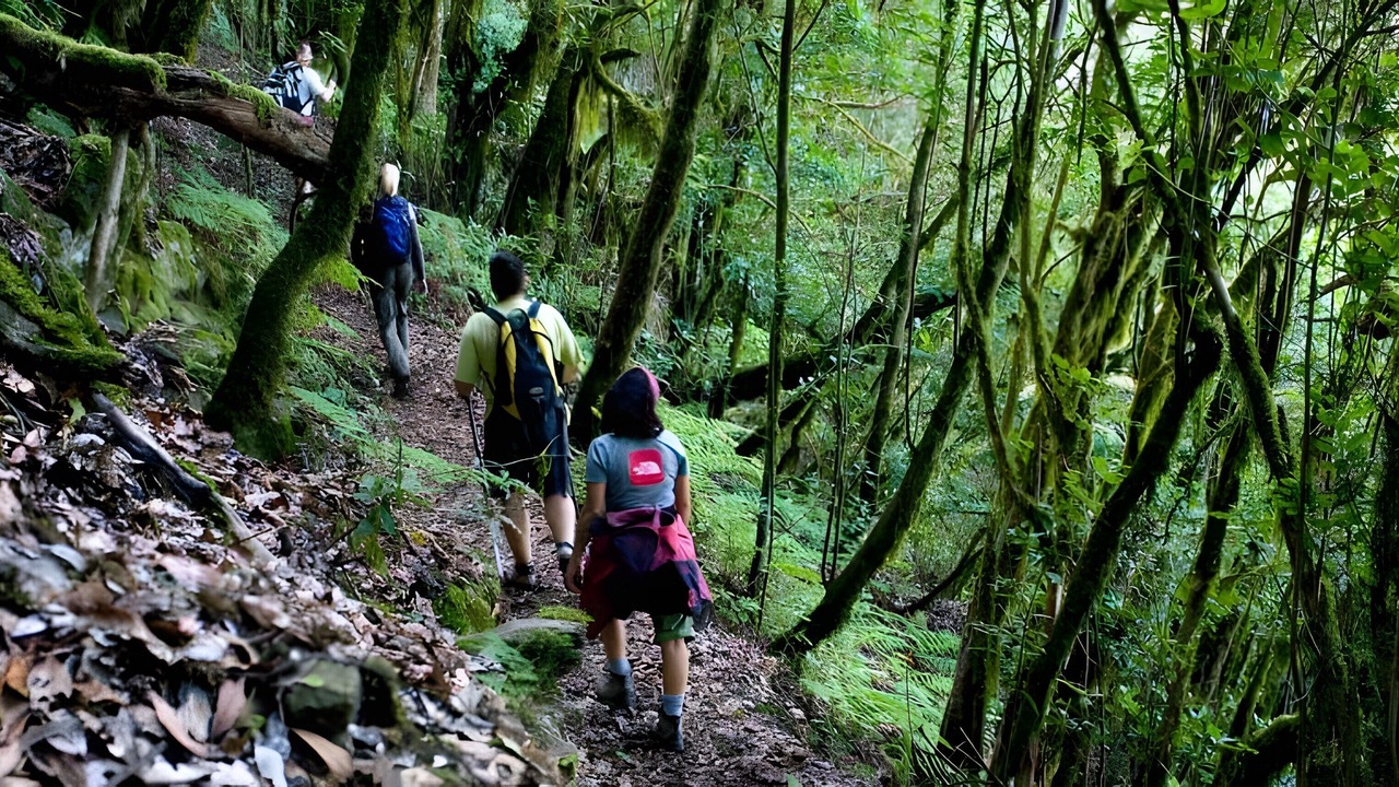 Photo of Others in San Sebastian de la Gomera
