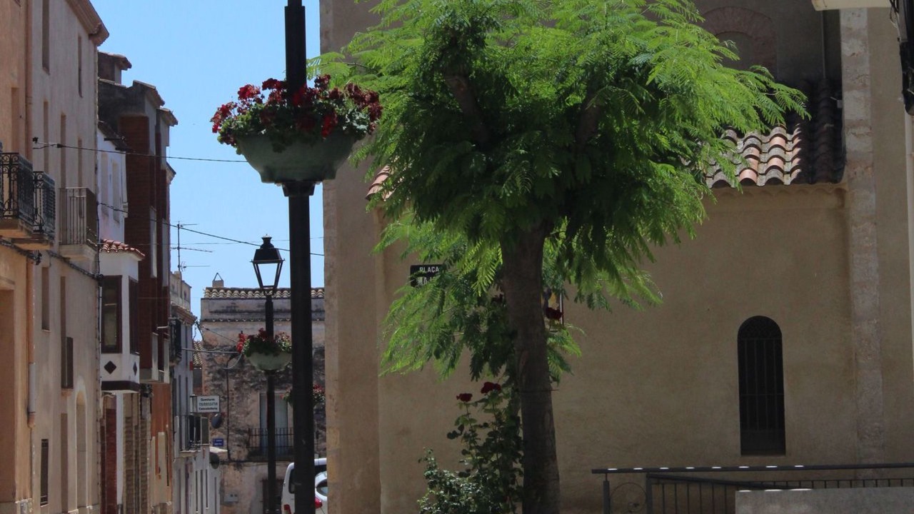 Photo of Others in Masllorens