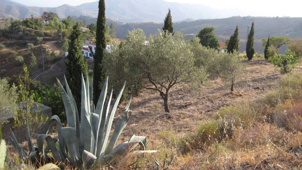 Photo of Others in Sedella