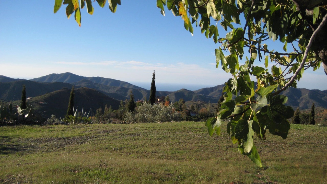 Photo of Others in Sedella
