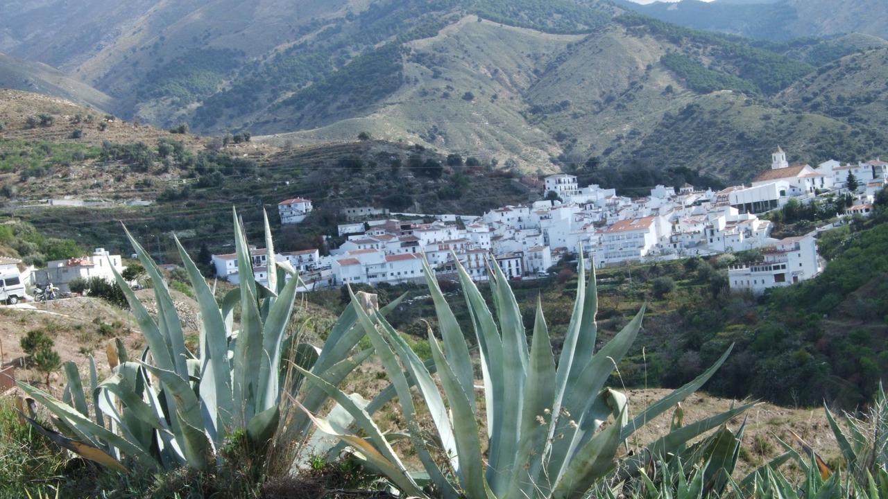 Photo of Others in Sedella