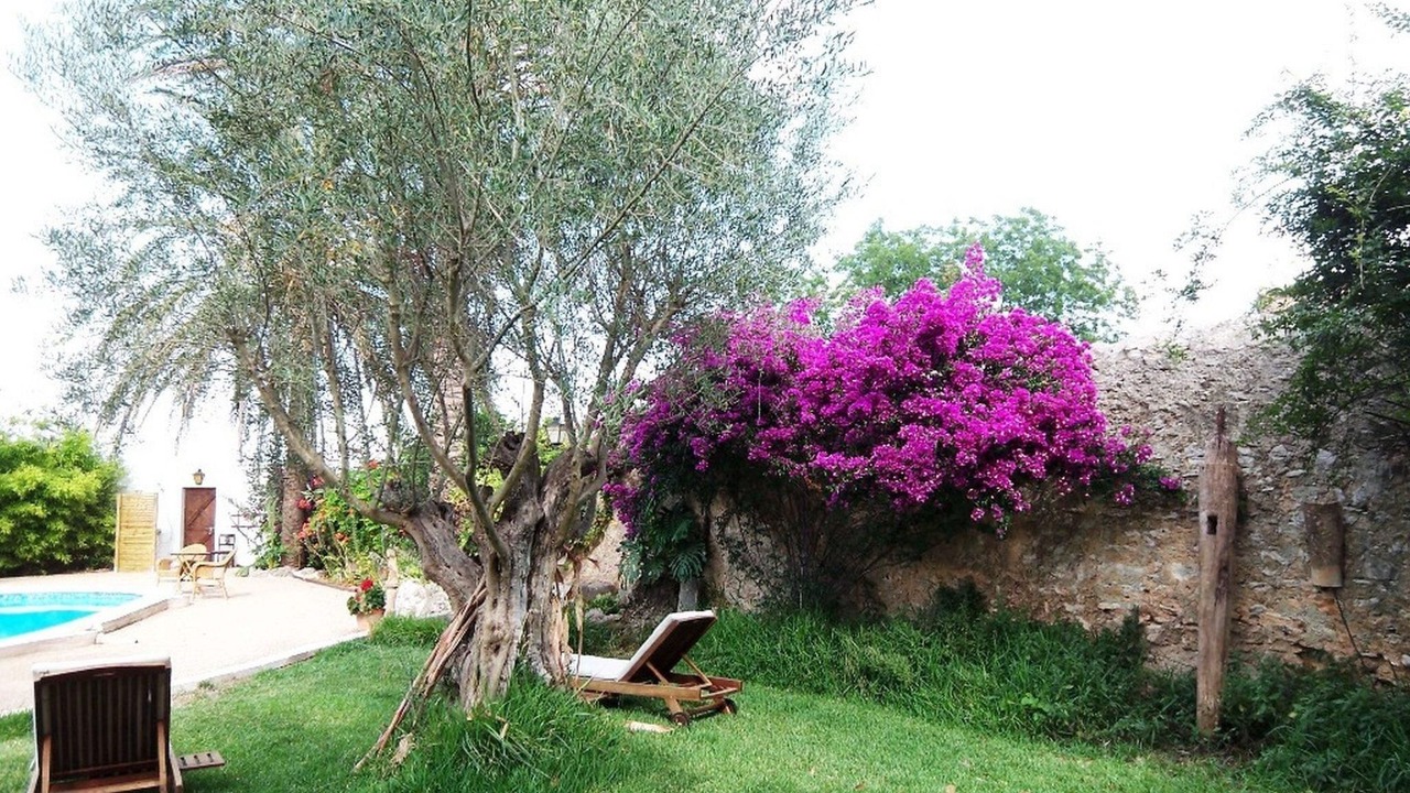 Photo of Outdoor in Sencelles