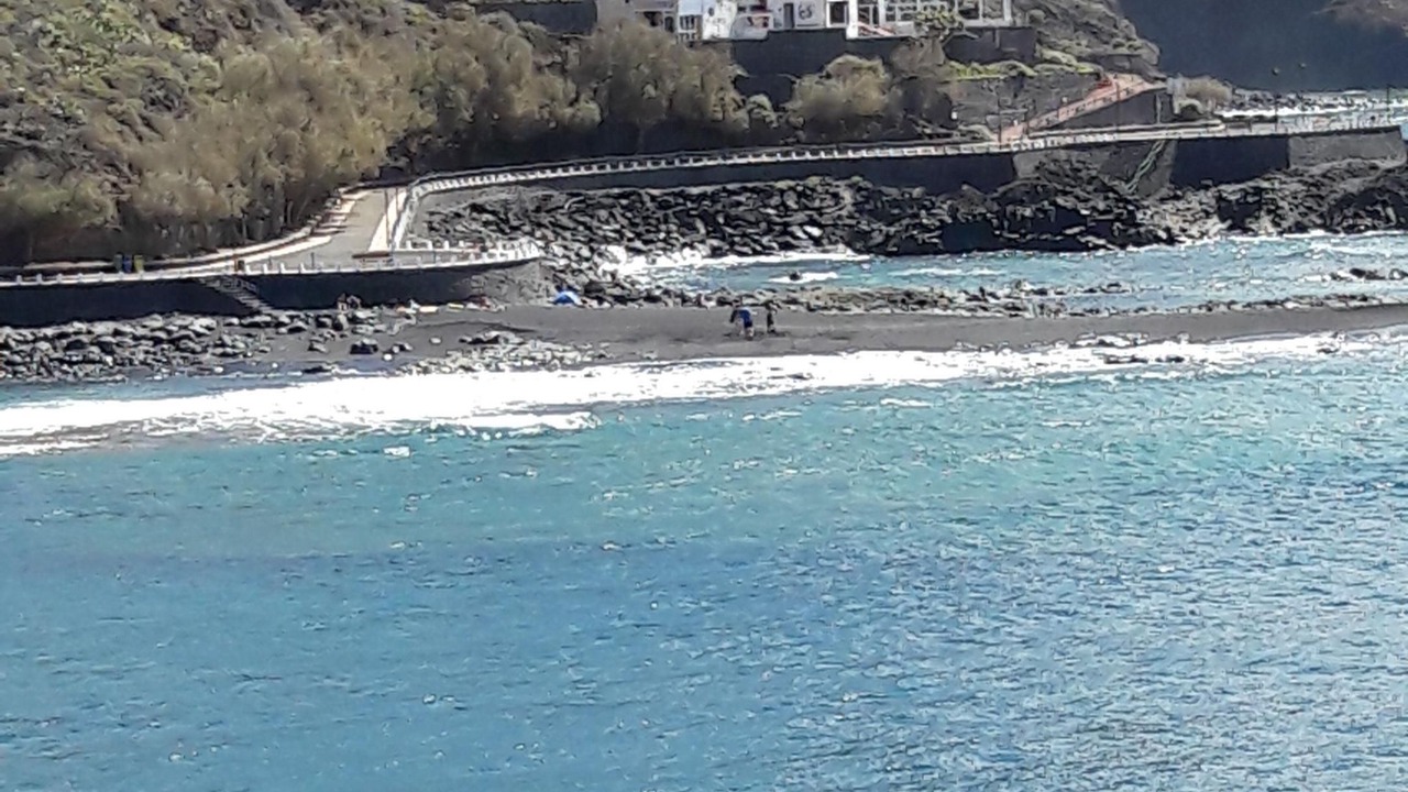 Photo of Others in Tacoronte