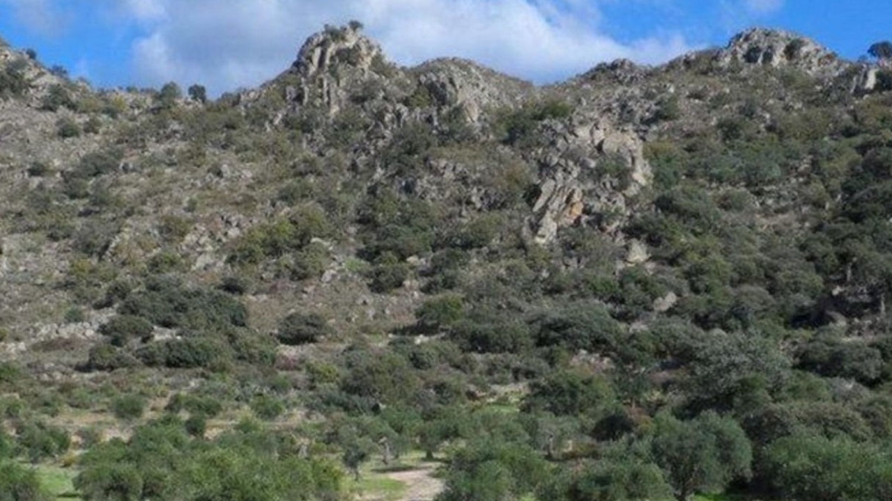 Photo of Others in Montanchez