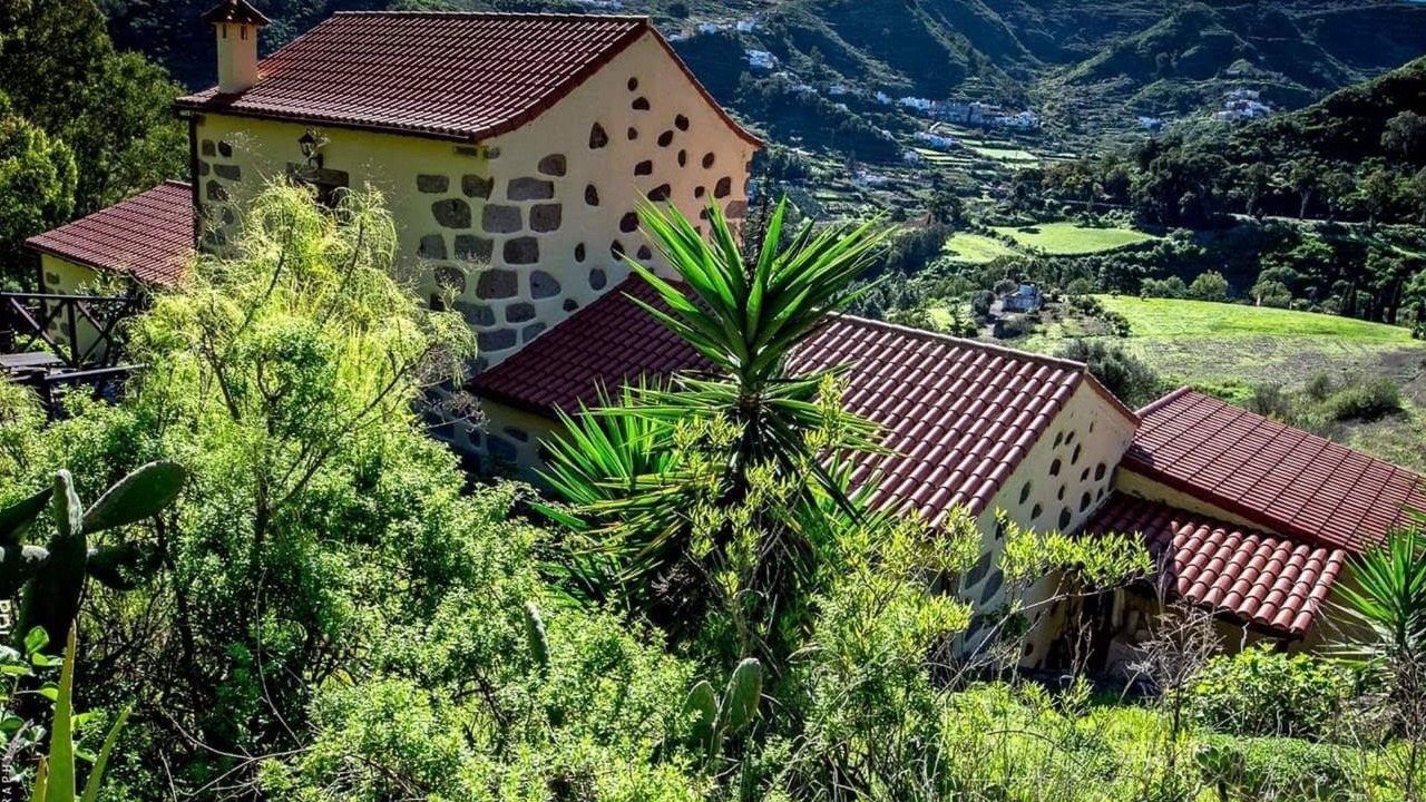 Photo of Outdoor in Teror