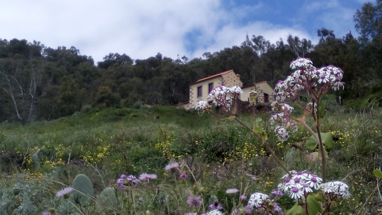 Photo of Others in Teror