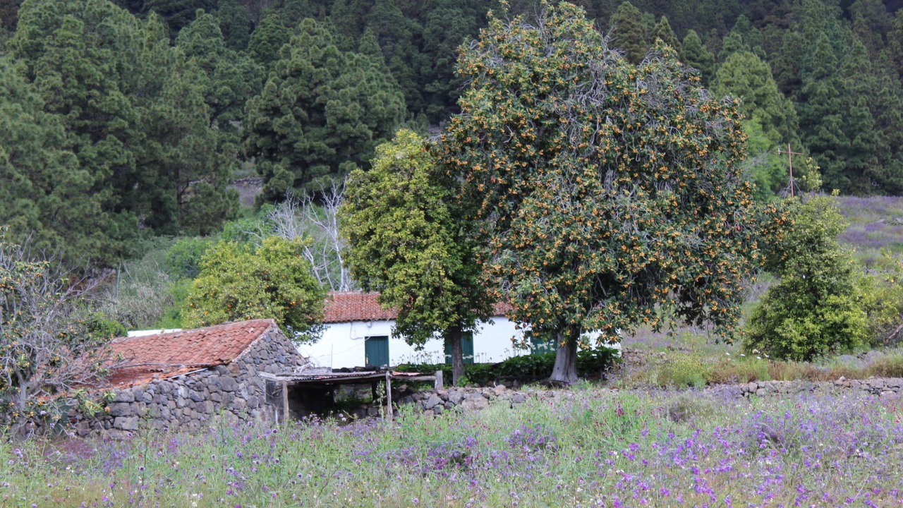 Photo of Others in Villa de Mazo