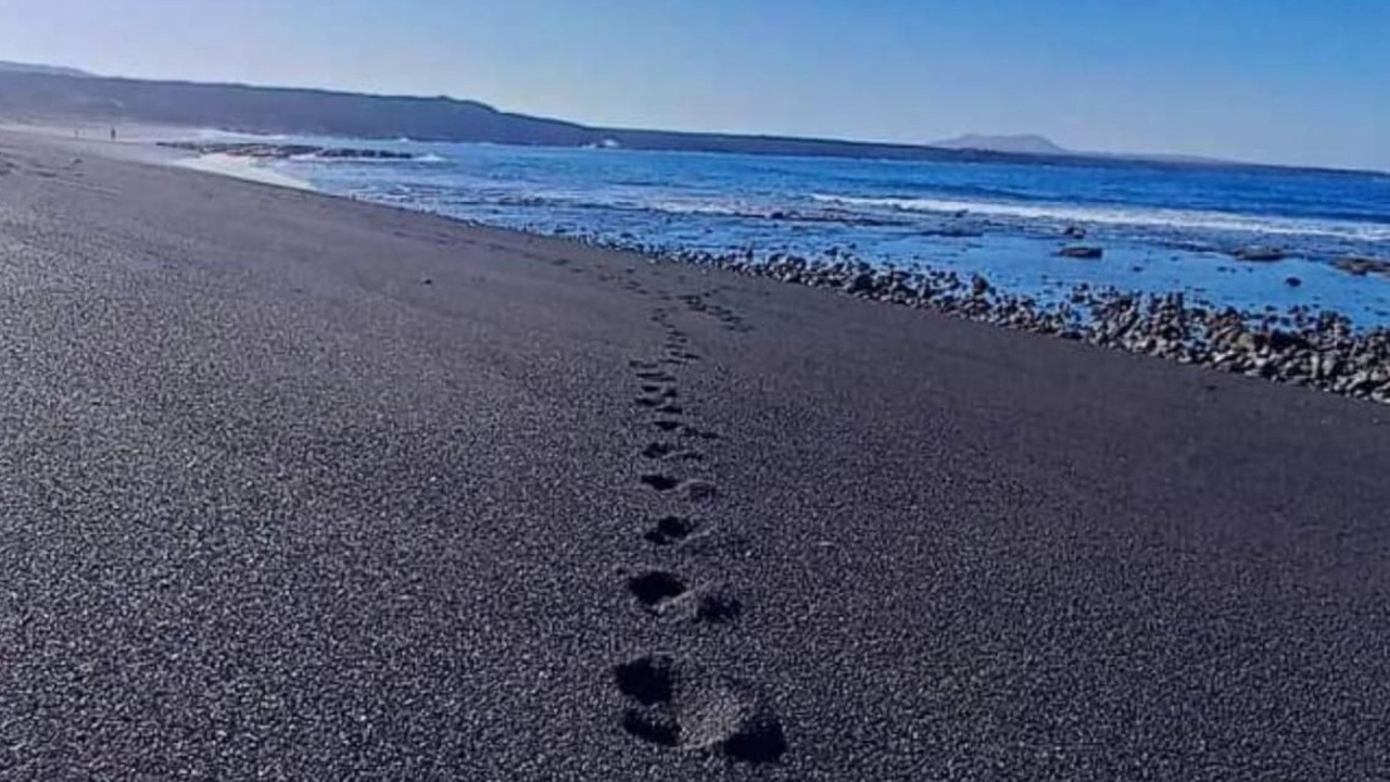 Photo of Others in Santa Cruz de la Palma