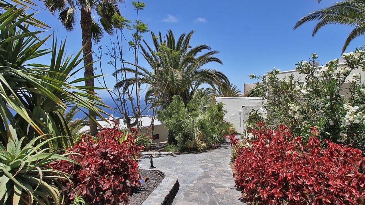 Photo of Outdoor in Puerto Naos