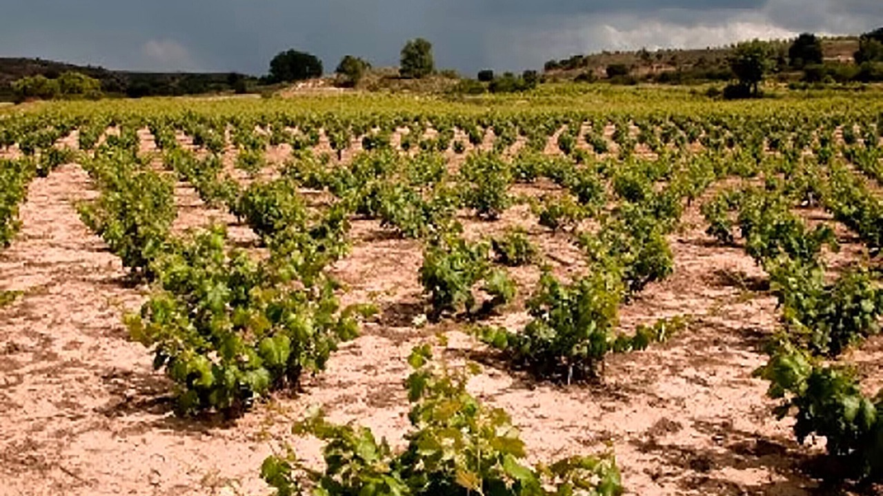 Photo of Others in Penalba de San Esteban