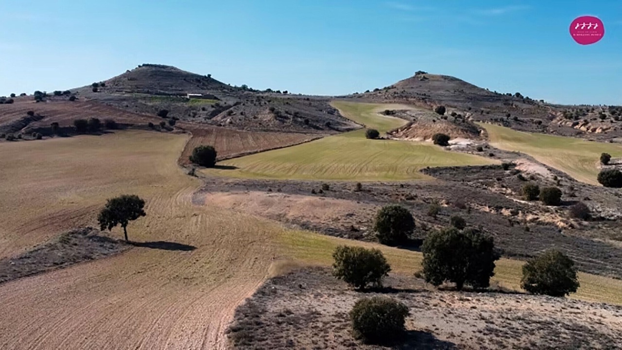 Photo of Others in Penalba de San Esteban