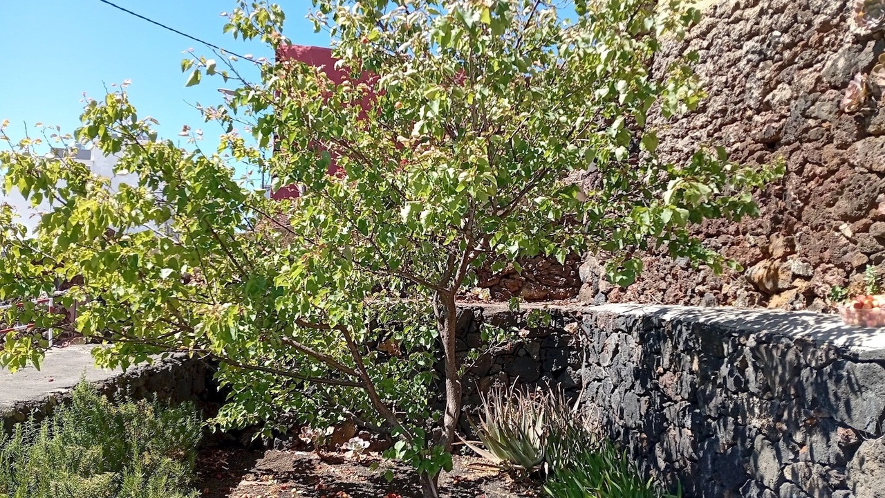 Photo of Outdoor in Taibique
