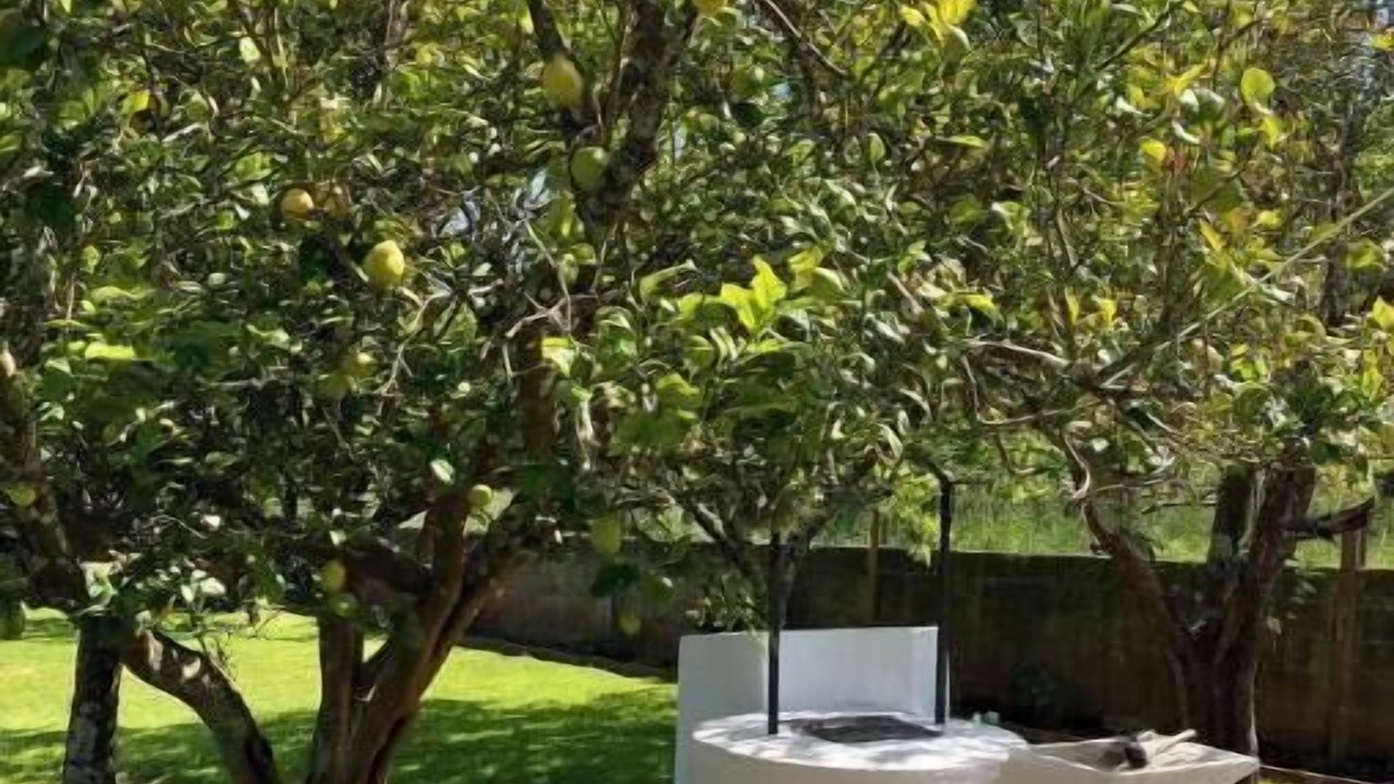 Photo of Outdoor in Souto