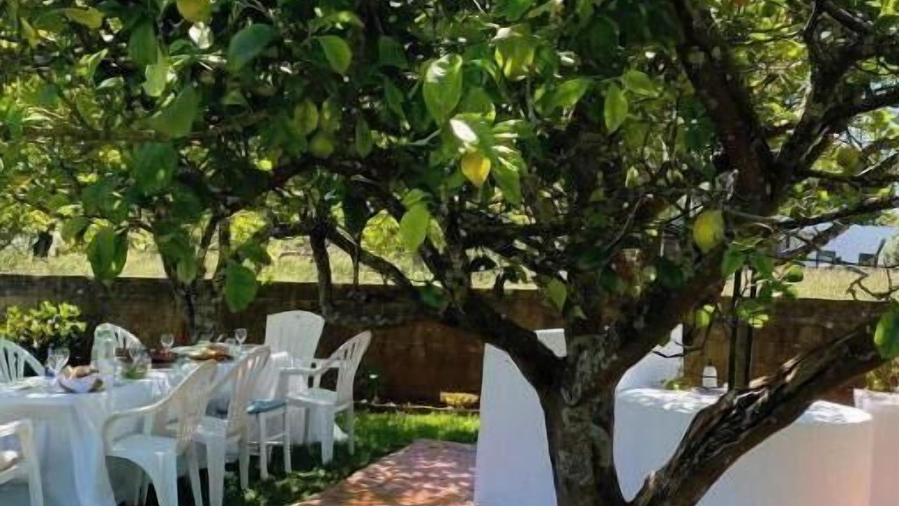 Photo of Outdoor in Souto