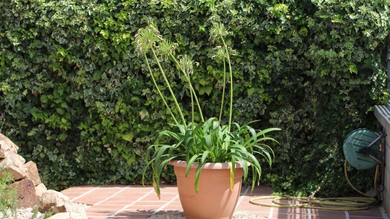 Photo of Outdoor in Llagostera