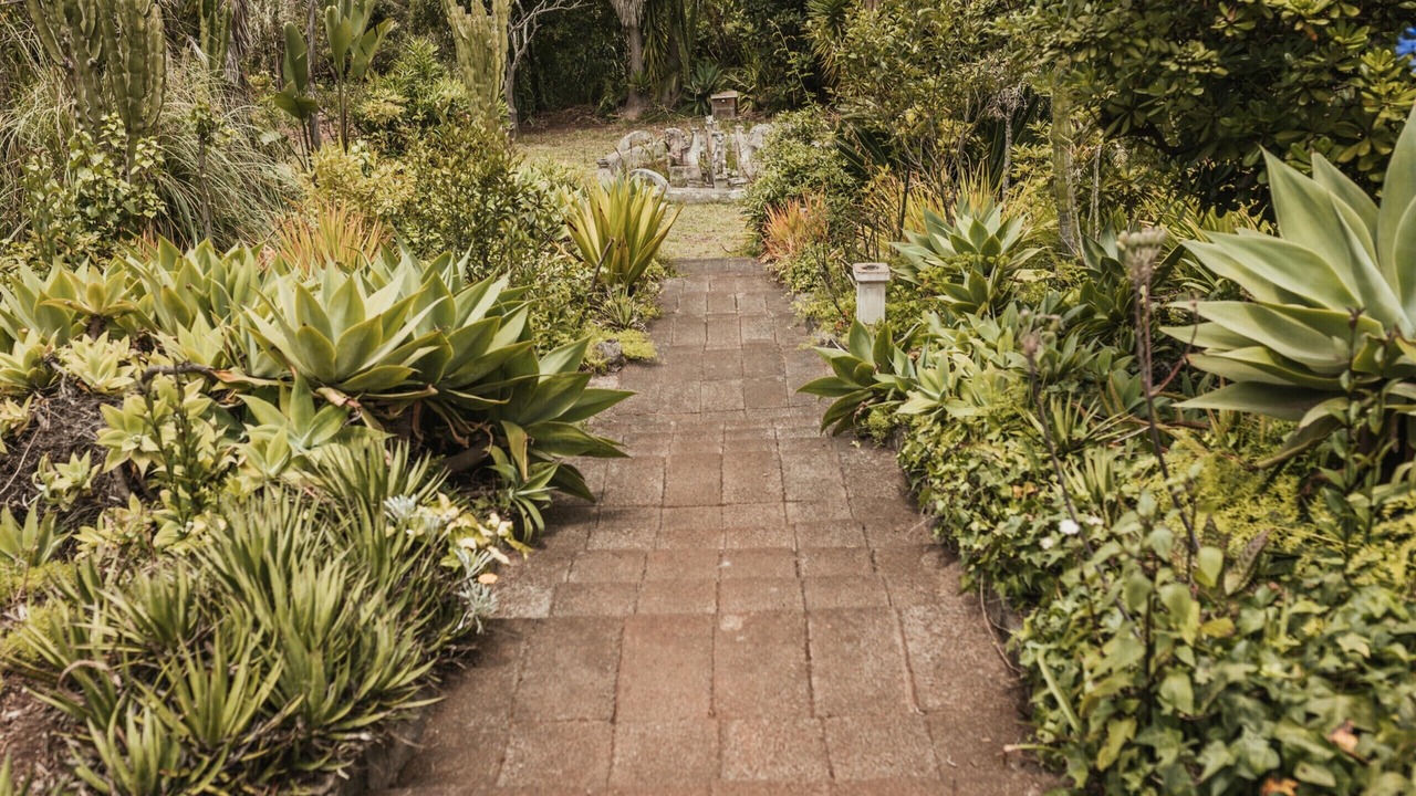 Photo of Outdoor in Los Portales