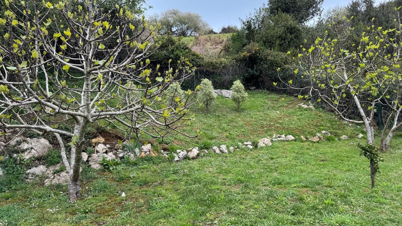 Photo of Outdoor in Casasola