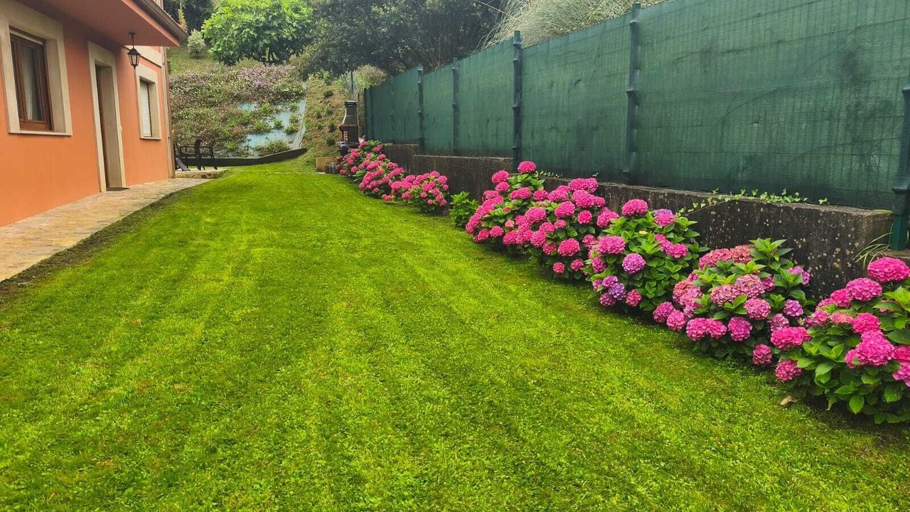 Photo of Outdoor in Casasola