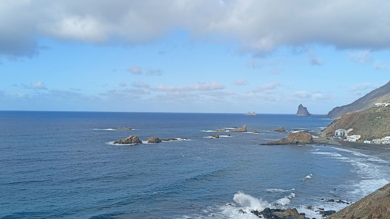 Photo of Others in Santa Cruz de Tenerife