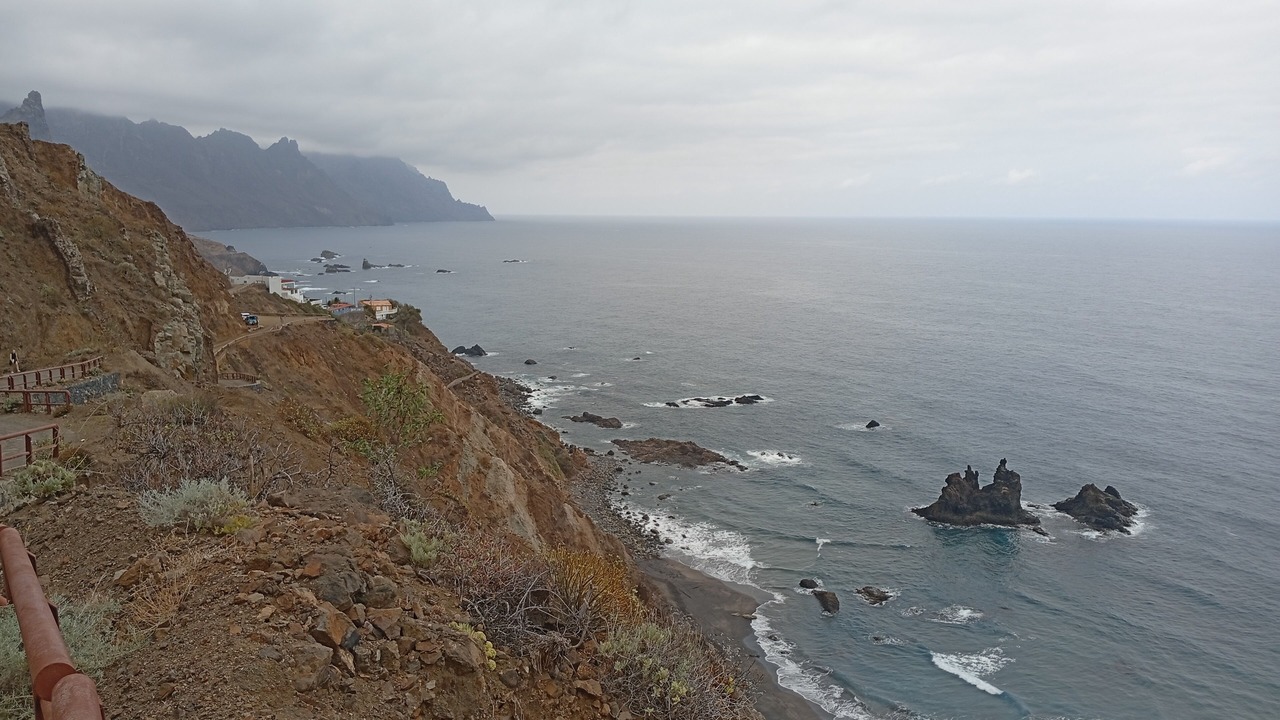 Photo of Others in Santa Cruz de Tenerife